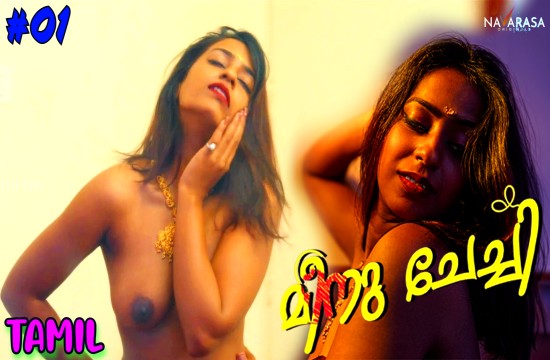 Meenu Chechi S01E01 (2024) Tamil Hot Web Series Navarasa
